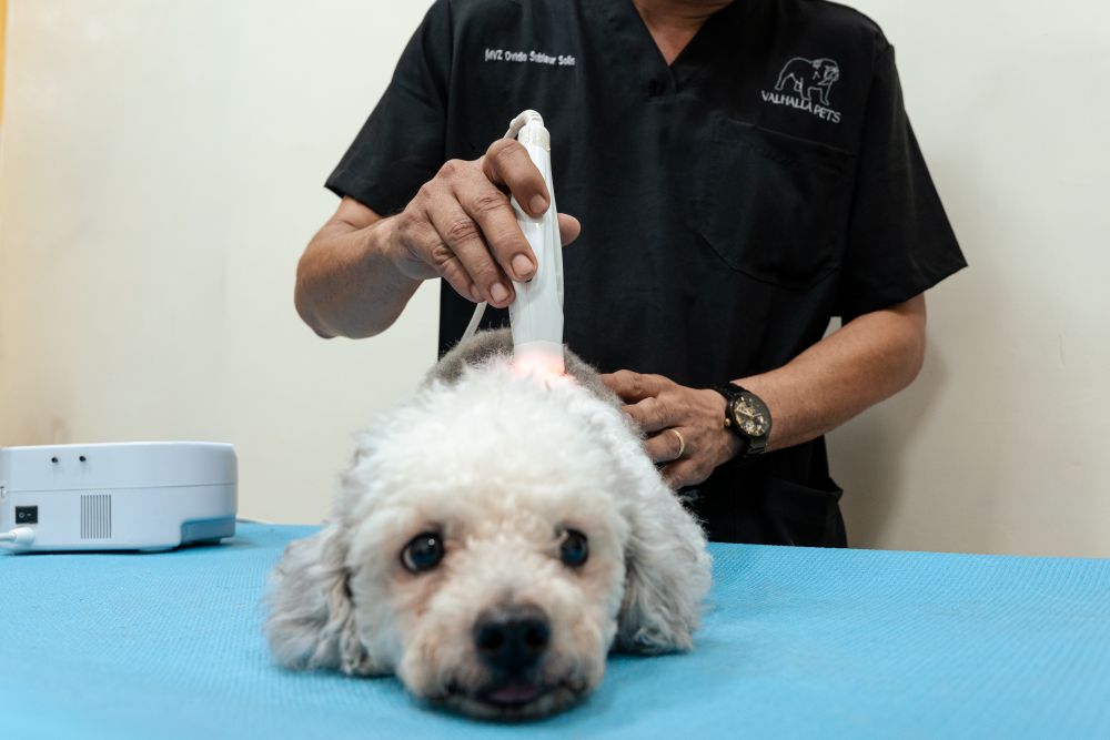 Rehabilitación que transforma vidas